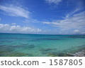 Natural beauty 1587805