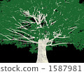 Big tree 1587981