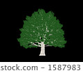 Big tree 1587983