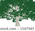 Big tree 1587985