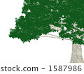 Big tree 1587986