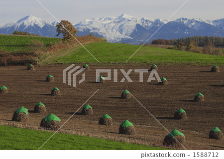 Nio和十勝 Nio和十勝 1588712