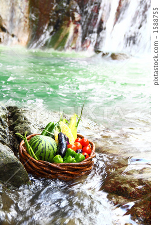 Assorted waterfall, water and fresh vegetables Assorted waterfall, water and fresh vegetables 1588755