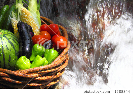 Assorted river, water and fresh vegetables 1588844