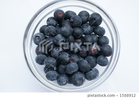 Blueberry just above photo 1588912