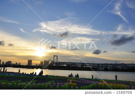 Sea light festival Sea light festival 1589709