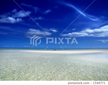 站立在沙灘的海洋以它的面孔處於低潮中 1589771