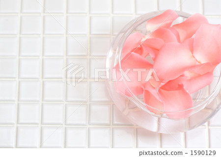 white tile, petal, petals 1590129