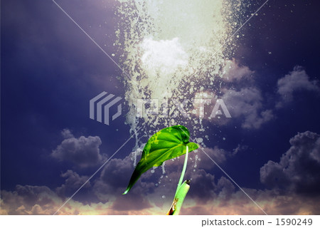 Water and sky and ornamental plants Water and sky and ornamental plants 1590249