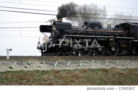 SL Spring raccoon grade № 1 SL Spring raccoon grade № 1 1590367