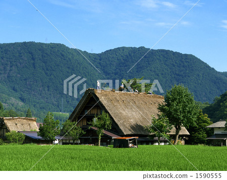 Shirakawagi-toch屋頂更換屋頂 1590555