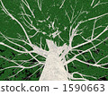 Big tree 1590663