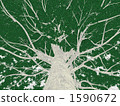 Big tree 1590672
