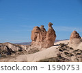 Camel rock 1590753
