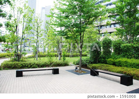 Bench 1591008