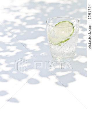 酸橙 萊姆 黃檸檬 1591764