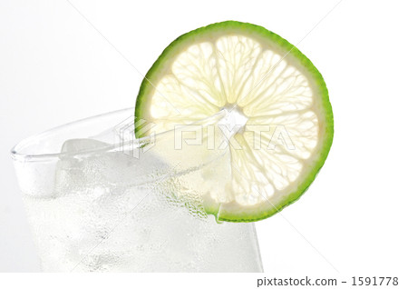 酸橙 萊姆 黃檸檬 1591778