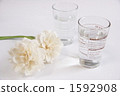 Cup  1592908