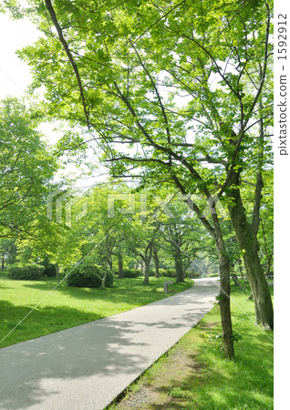 Fresh green nature park Fresh green nature park 1592912