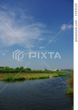 tamagawa, grassy place, water surface 1593520