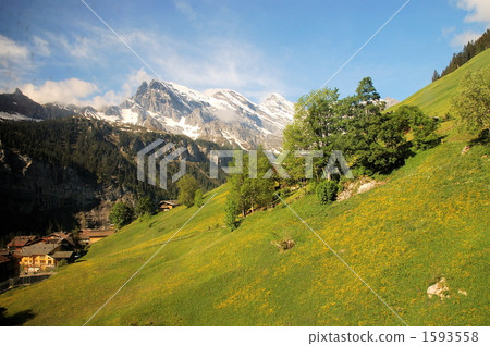 Swiss landscape 1593558