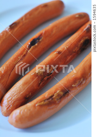 維納 維納 1594635