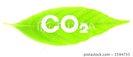 Leaves and white letters (CO 2) 1594735