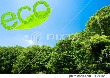 Green forest and leaf and leaf letters (eco) 1594840