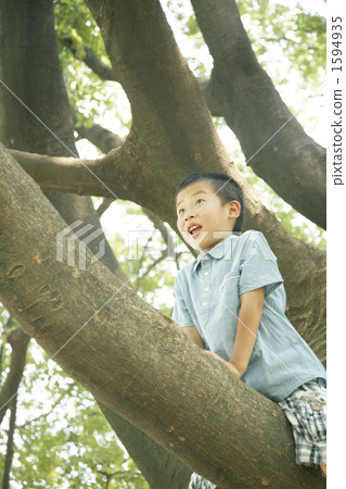boy, man-child 1594935