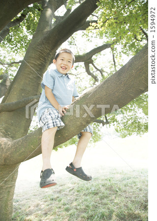 lad, young boy, summer holiday 1594972