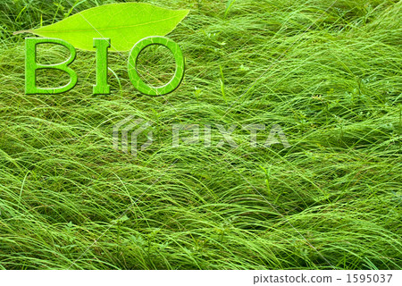 Grass and leaf letters (BIO) 1595037