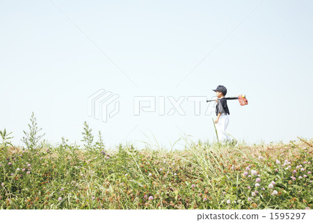 youth baseball, boy, lad 1595297