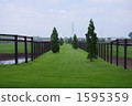 lawn, sward, colonnade 1595359