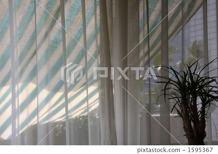 Afternoon Afternoon 1595367