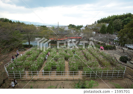 宇宙迷宮 1595701