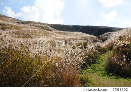 Shiozuka Plateau in autumn Shiozuka Plateau in autumn 1595892