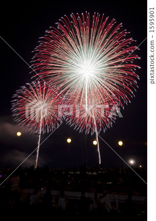 skyrocket, firework, fireworks 1595901