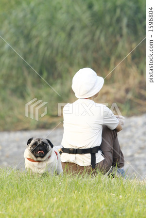 In the middle of a walk In the middle of a walk 1596804