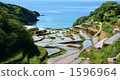 梯田 海面 海 1596964