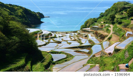 梯田 海面 海 1596964