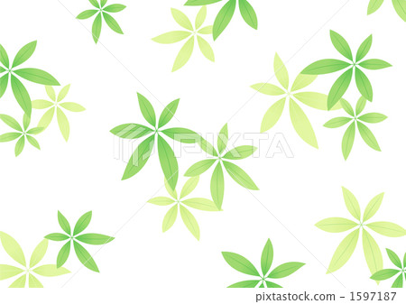 Pakira的植物圖案（背景白色） 1597187