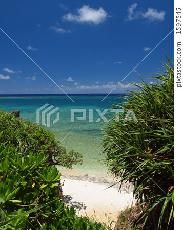 珊瑚礁海 1597545