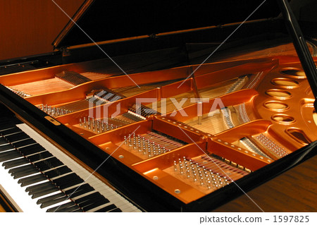 鋼琴fk 1597825