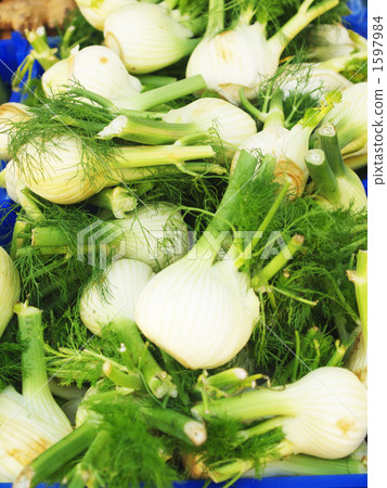 Fennel, in the market of Bruges 1597984