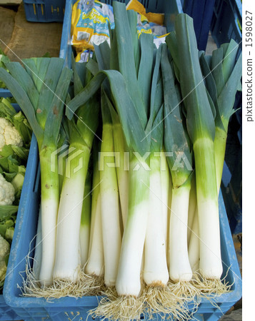 在布魯日Leiki市場 1598027