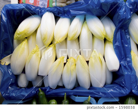 頑固的布魯日市場 1598038