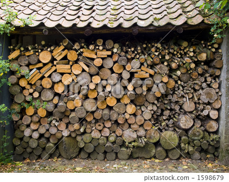 Firewood for winter 1598679