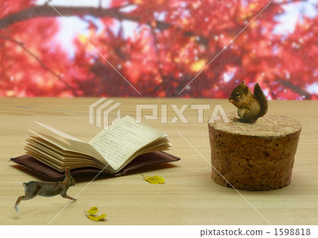 reading, book, books 1598818