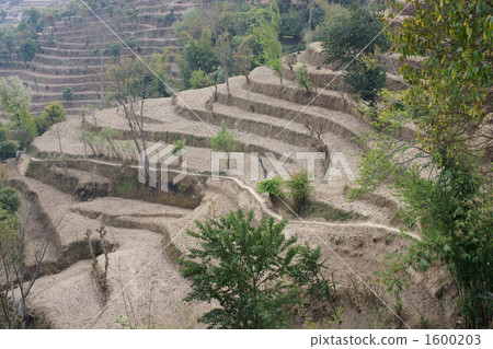 尼泊爾分級領域 1600203