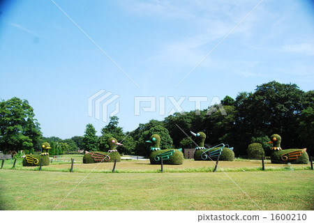 綠雕塑術 木曾三仙公園 鴨 1600210